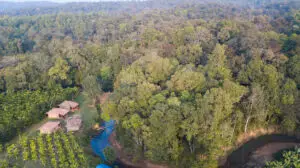 drone farm and forest