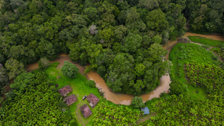 Aerial view of The Niche - Malnad Farmstay