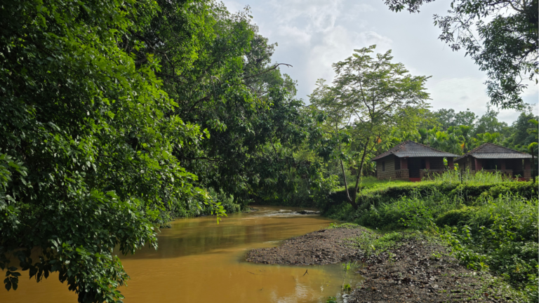 Stream flowing next to our cottages