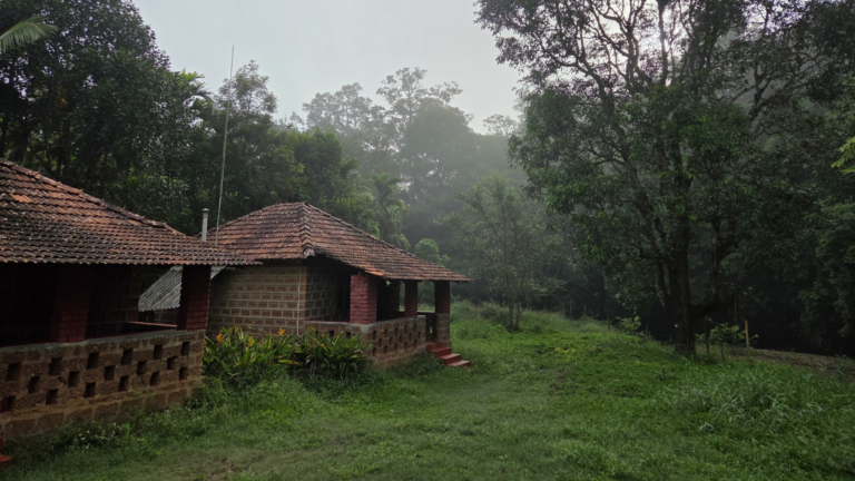 Forest beside the stay