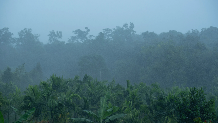 Monsoon at The Niche